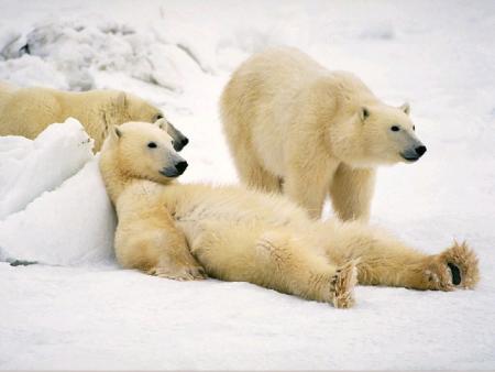 Relax.....